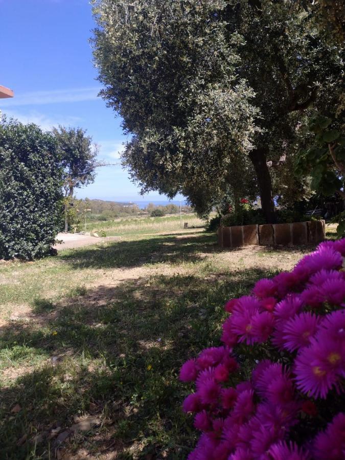 Vacanza In Ogliastra Tertenia Exterior photo